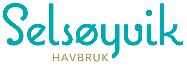 Selsøyvik Havbruk